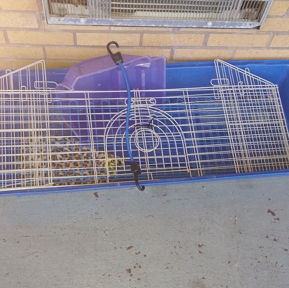 Small animal cage